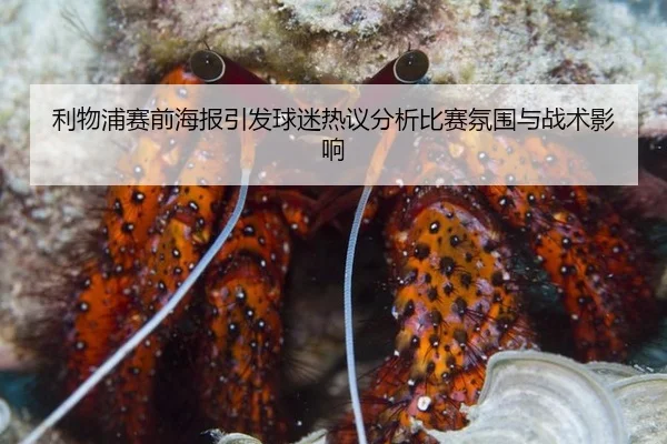 li-wu-pu-sai-qian-hai-bao-yin-fa-qiu-mi-re-yi-fen-xi-bi-sai-fen-wei-yu-zhan-shu-ying-xiang-2-660.jpg